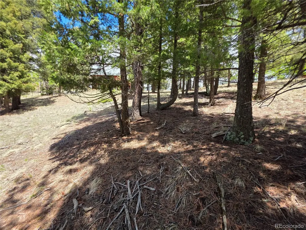 17 Deer Lake Circle Divide CO 80814