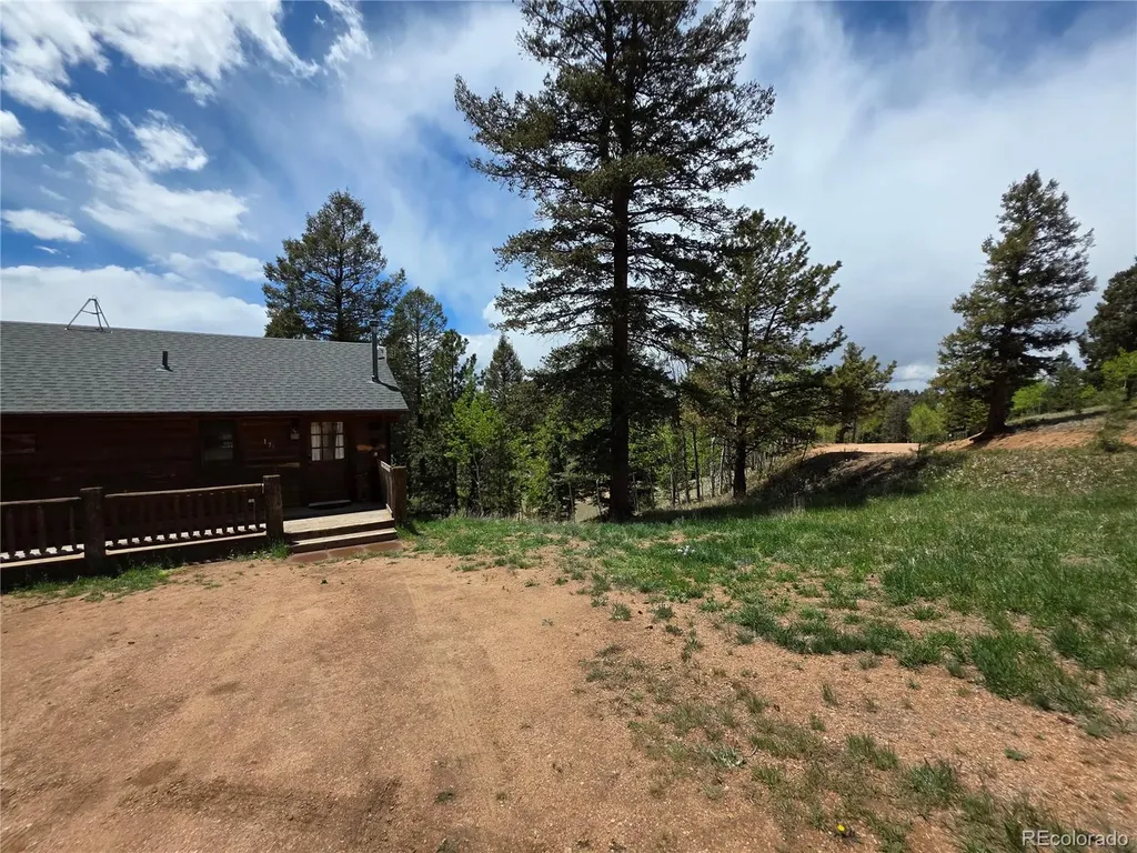 17 Deer Lake Circle Divide CO 80814