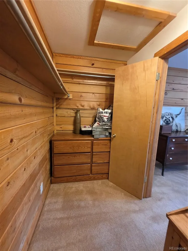 17 Deer Lake Circle Divide CO 80814