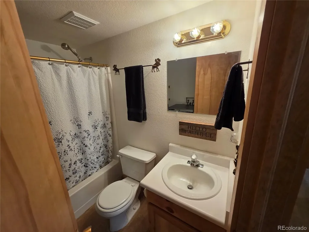 17 Deer Lake Circle Divide CO 80814