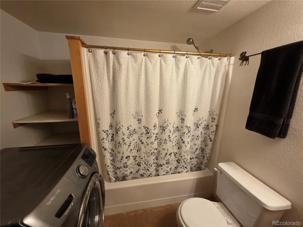 17 Deer Lake Circle Divide CO 80814