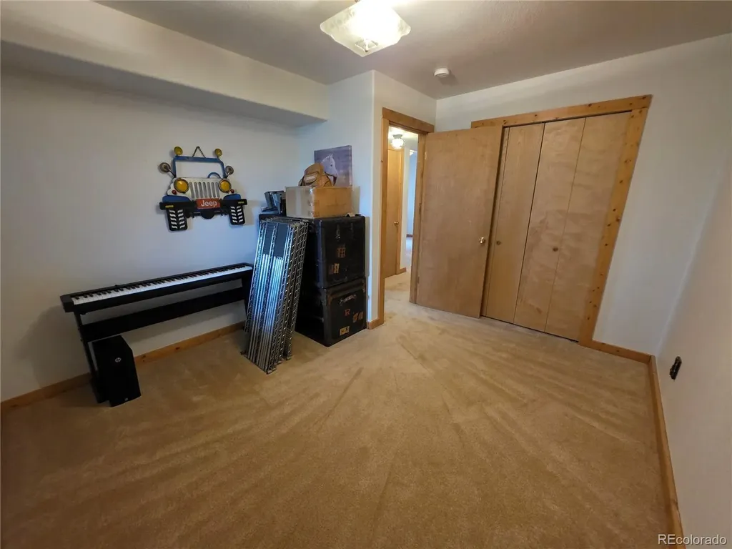 17 Deer Lake Circle Divide CO 80814