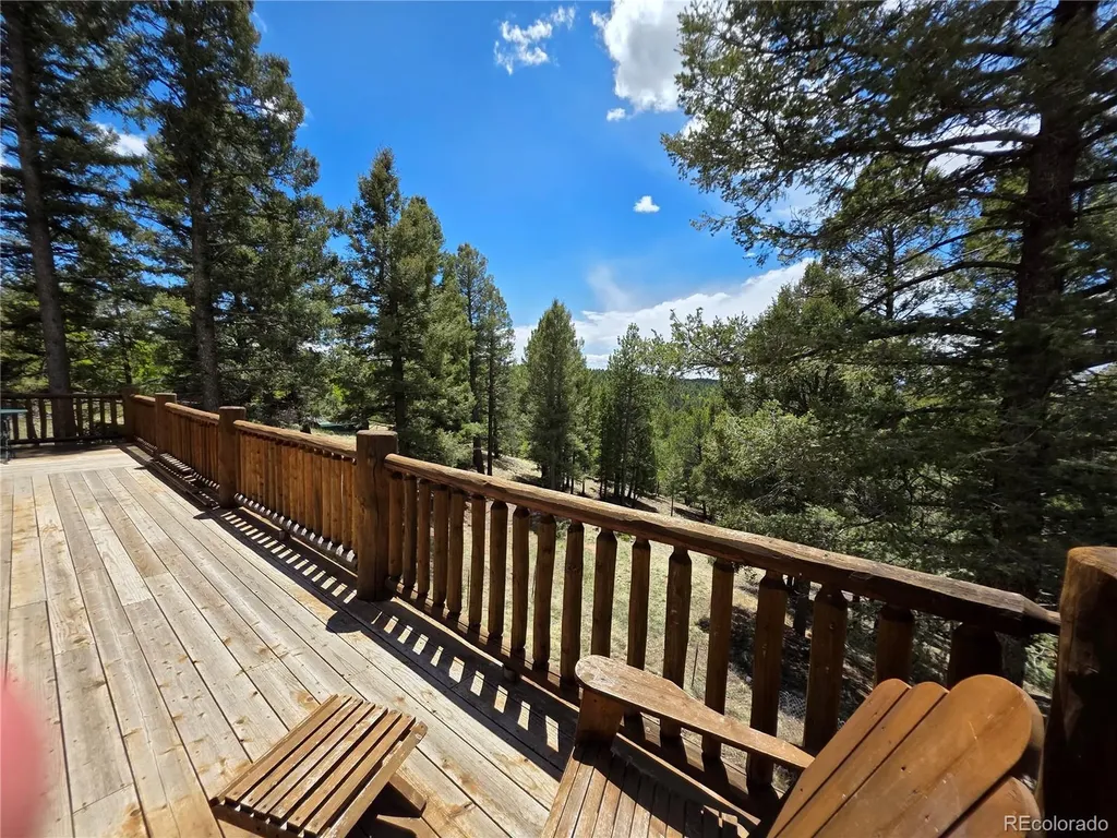 17 Deer Lake Circle Divide CO 80814