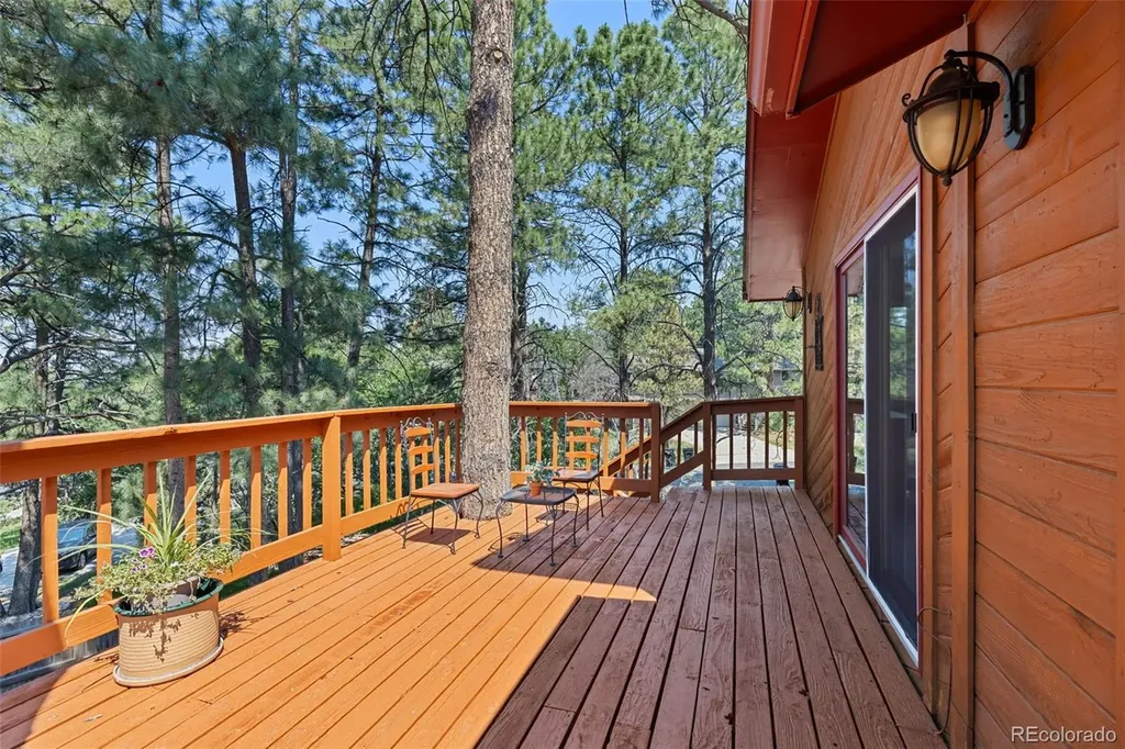 9434 Mcshane Court Parker CO 80134
