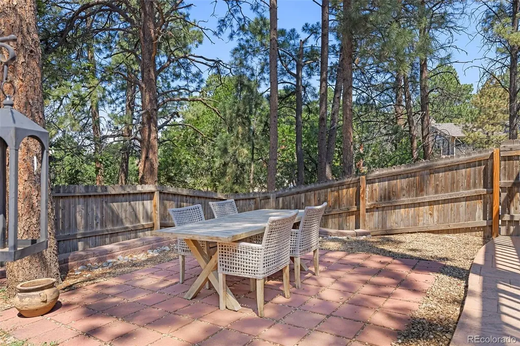 9434 Mcshane Court Parker CO 80134