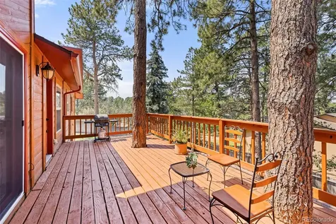 9434 Mcshane Court Parker CO 80134