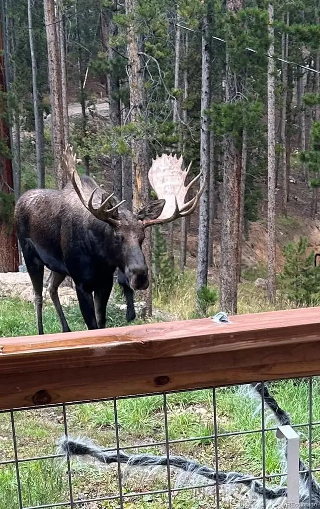 65 Apache Road Evergreen CO 80439