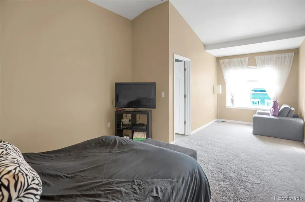 9315 Amison Circle Parker CO 80134