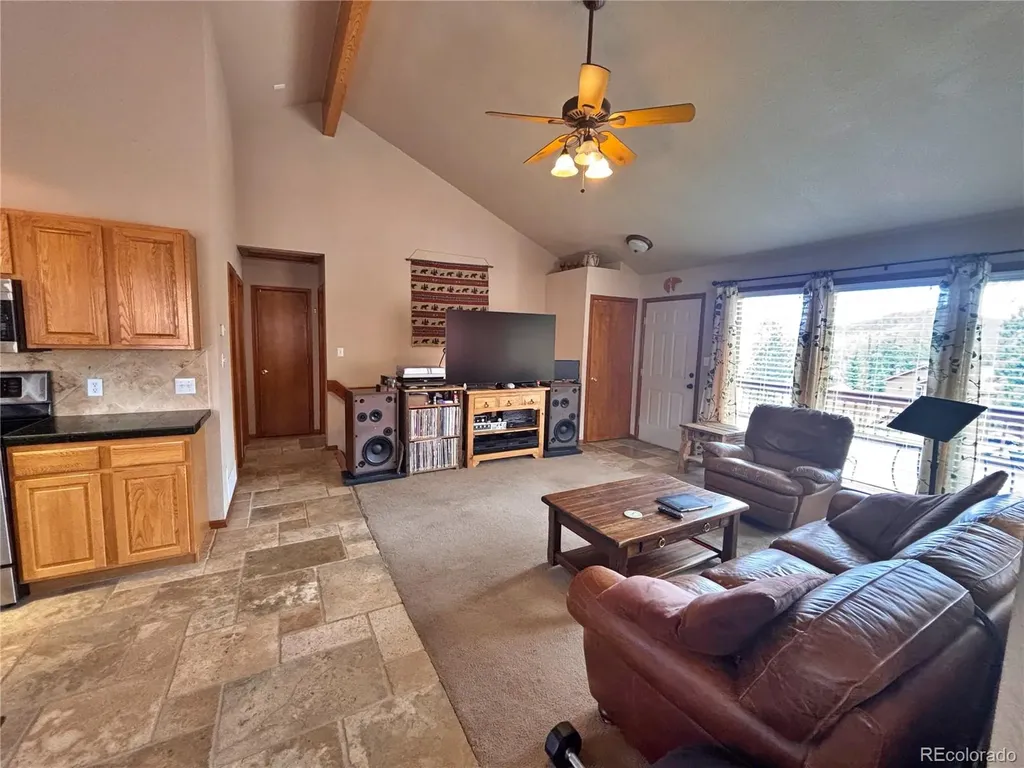 17 Silver Springs Road Bailey CO 80421