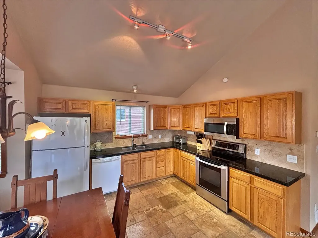 17 Silver Springs Road Bailey CO 80421
