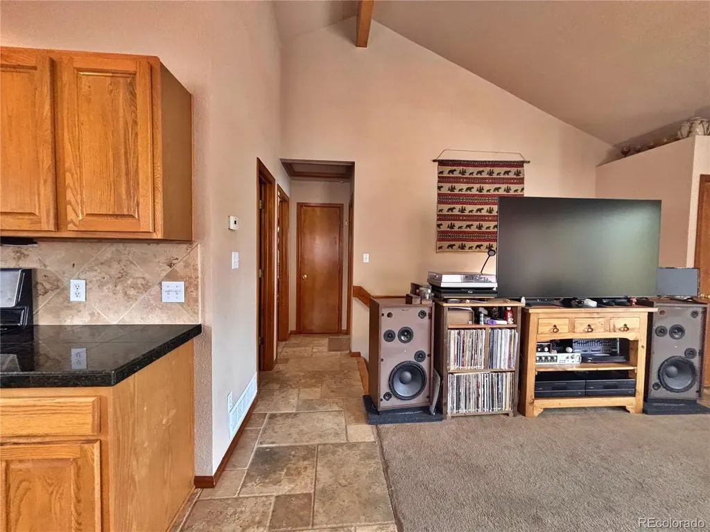 17 Silver Springs Road Bailey CO 80421