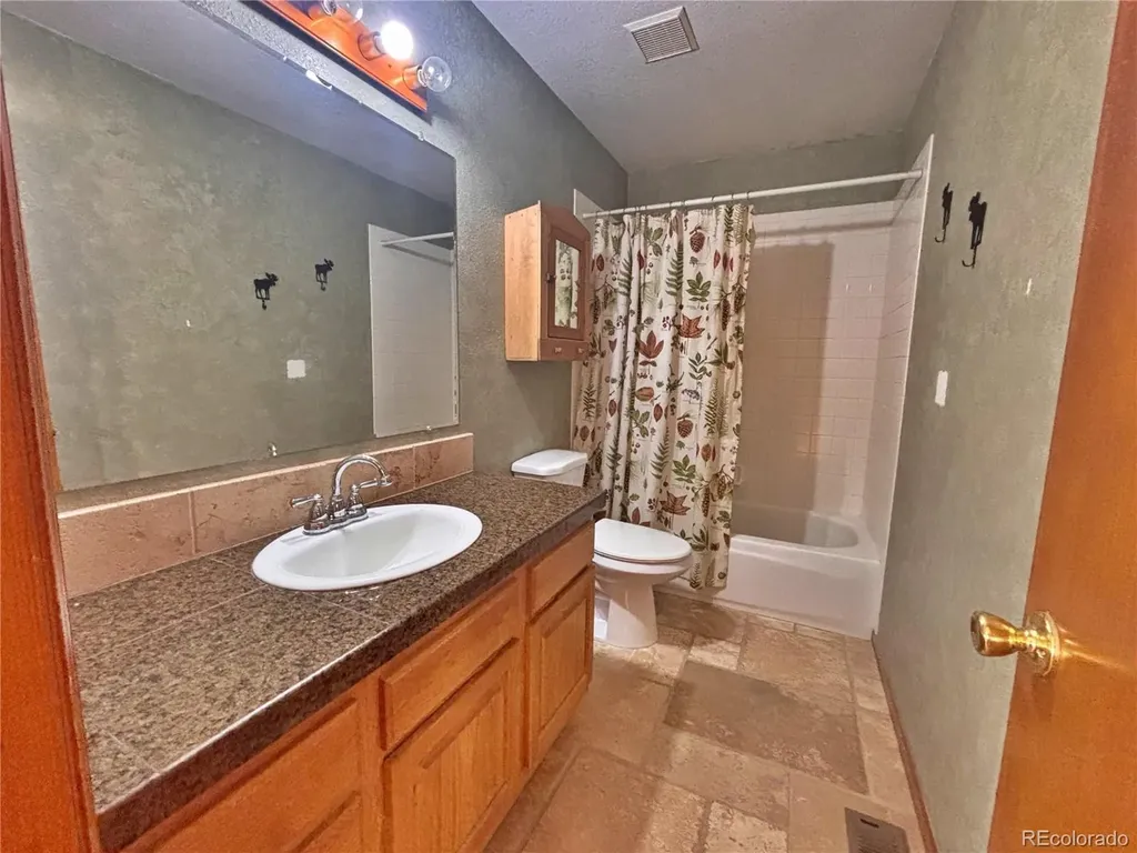 17 Silver Springs Road Bailey CO 80421