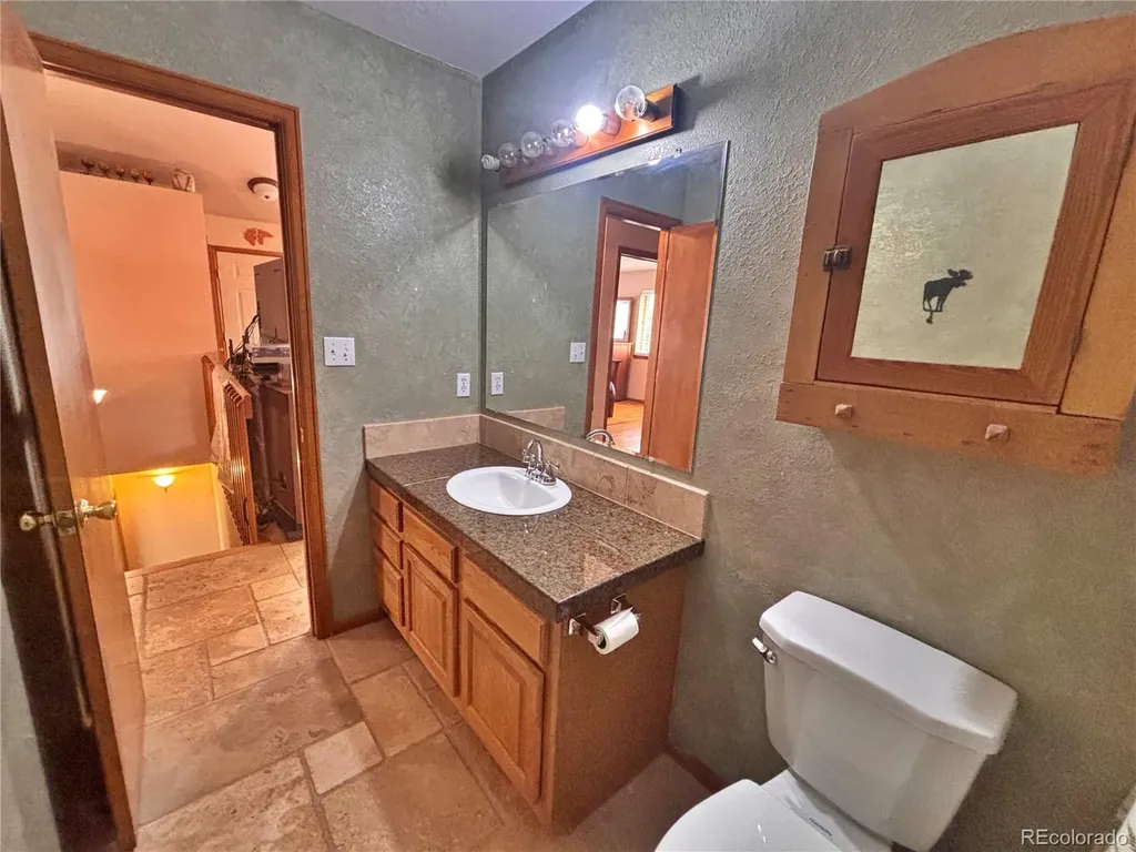 17 Silver Springs Road Bailey CO 80421