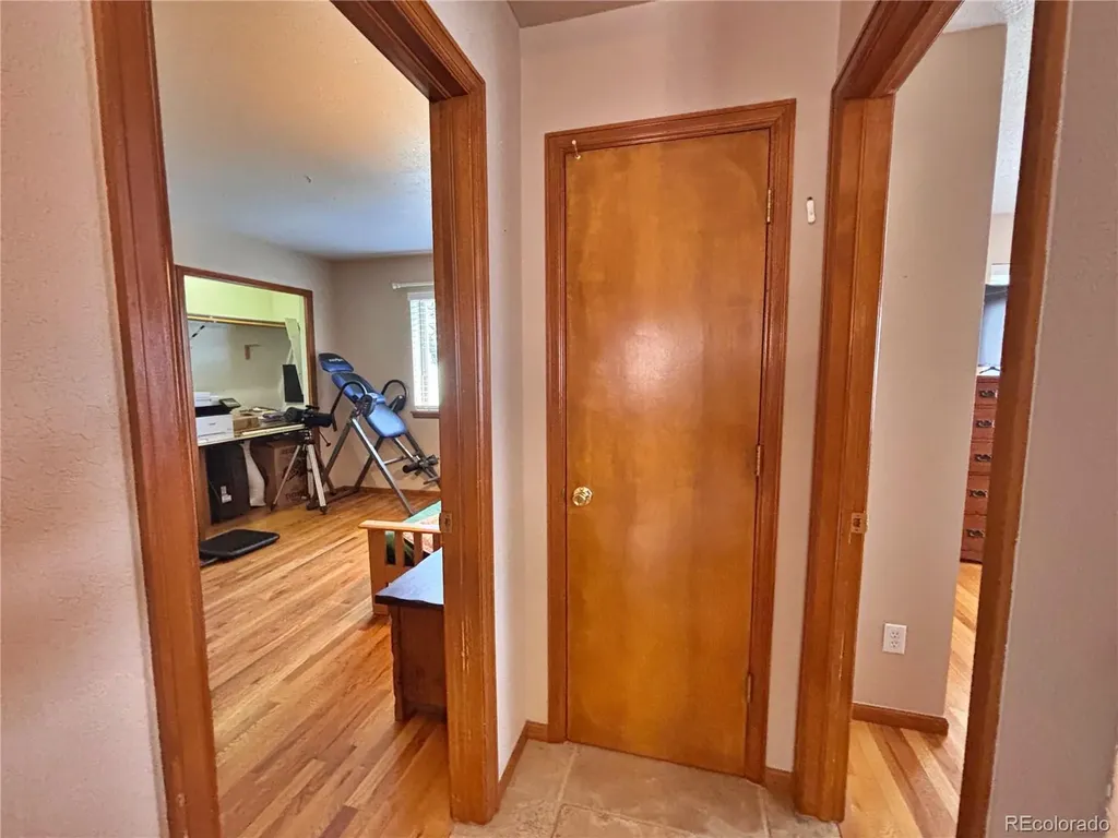 17 Silver Springs Road Bailey CO 80421