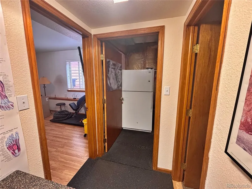 17 Silver Springs Road Bailey CO 80421