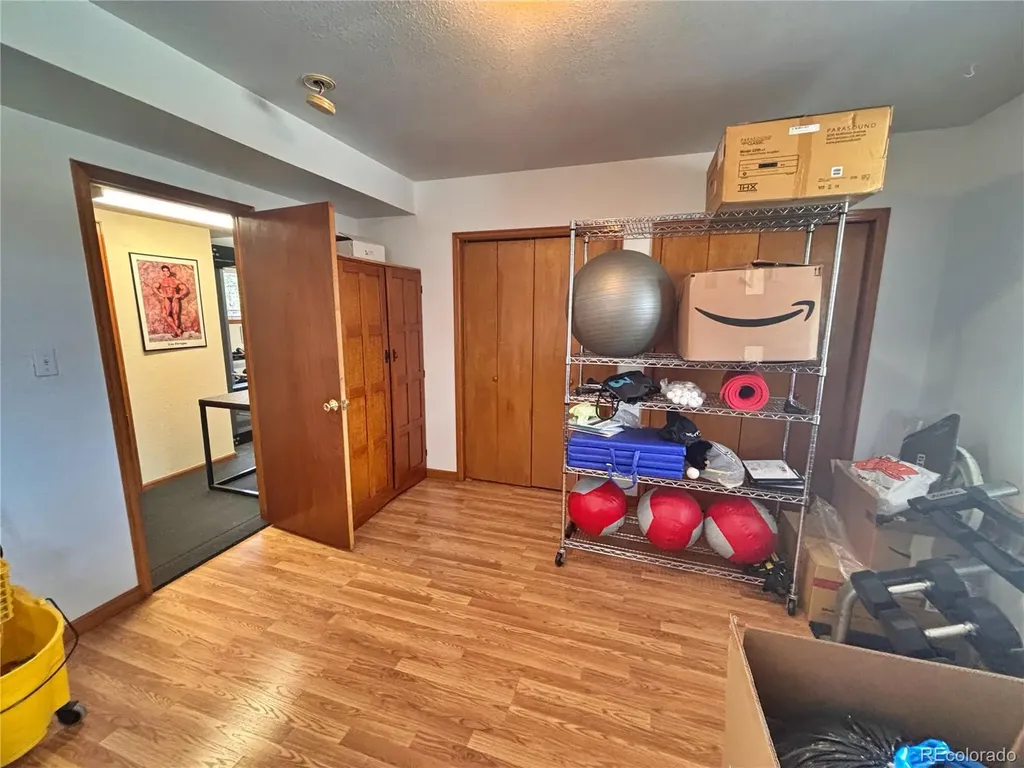 17 Silver Springs Road Bailey CO 80421
