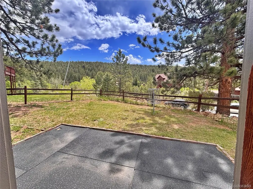 17 Silver Springs Road Bailey CO 80421