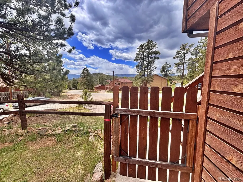 17 Silver Springs Road Bailey CO 80421