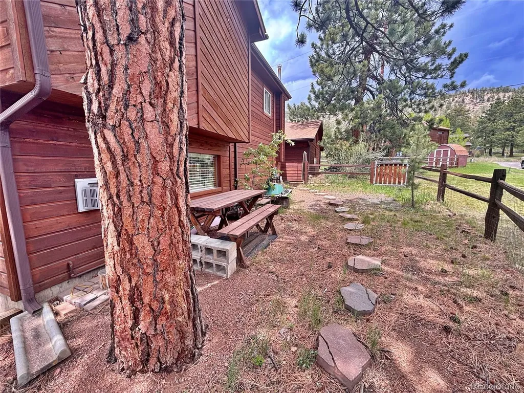 17 Silver Springs Road Bailey CO 80421