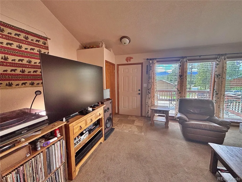 17 Silver Springs Road Bailey CO 80421