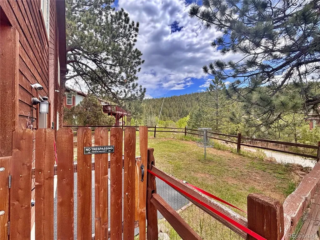 17 Silver Springs Road Bailey CO 80421