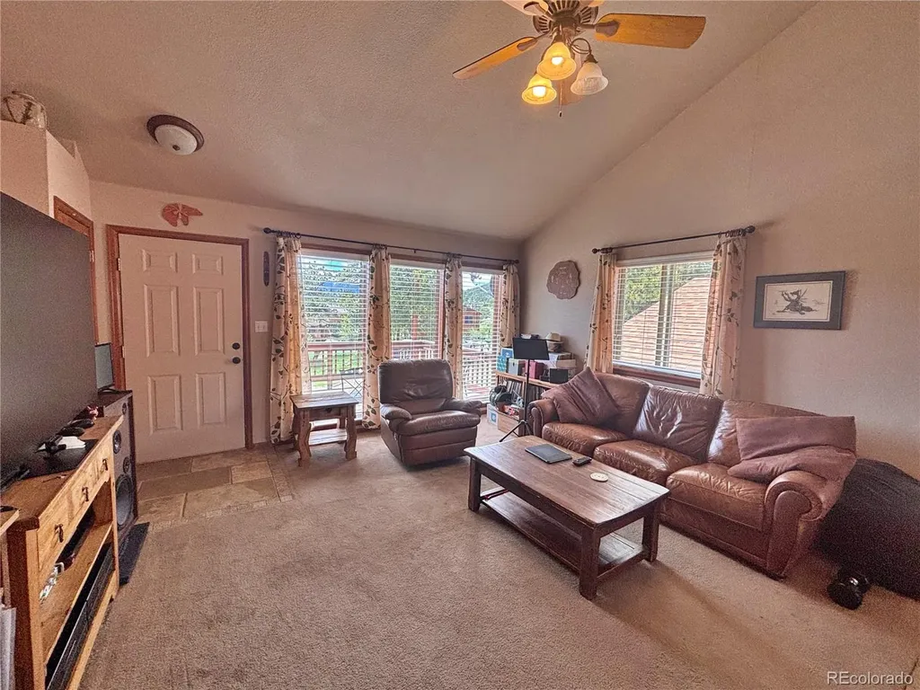 17 Silver Springs Road Bailey CO 80421