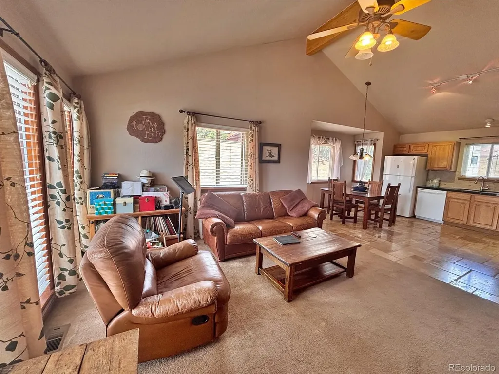 17 Silver Springs Road Bailey CO 80421