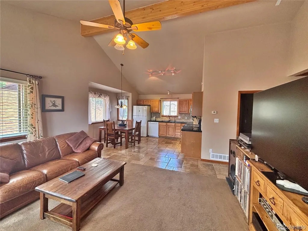 17 Silver Springs Road Bailey CO 80421