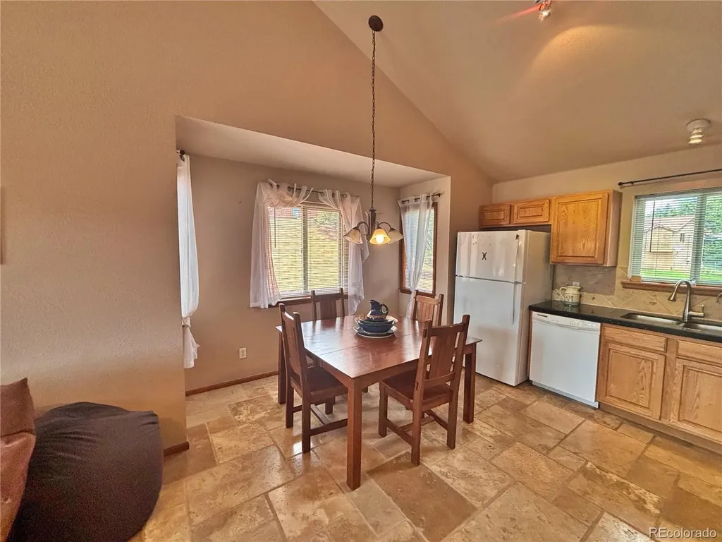17 Silver Springs Road Bailey CO 80421