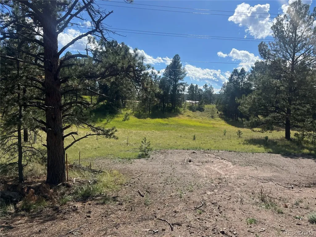 240 N Mountain Estates Road Florissant CO 80816
