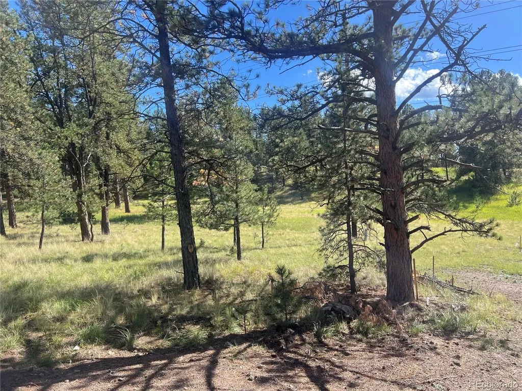 240 N Mountain Estates Road Florissant CO 80816