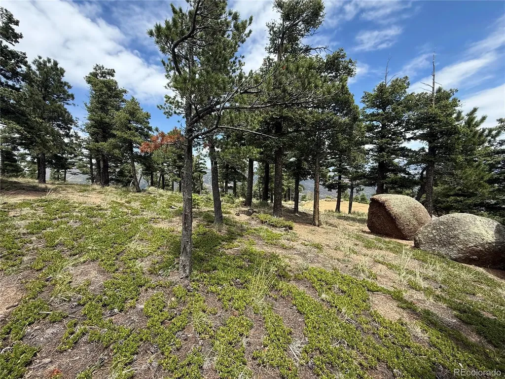 254 Grand Horizon View Manitou Springs CO 80829