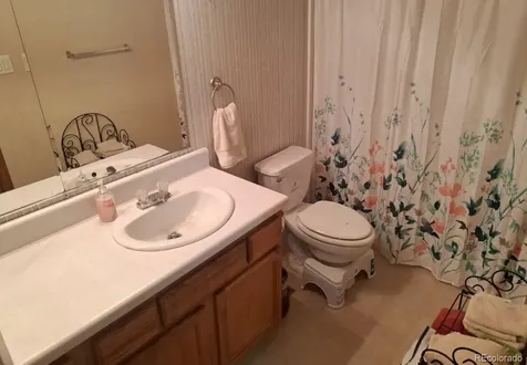 4758 Copper Gulch Road Cotopaxi CO 81223