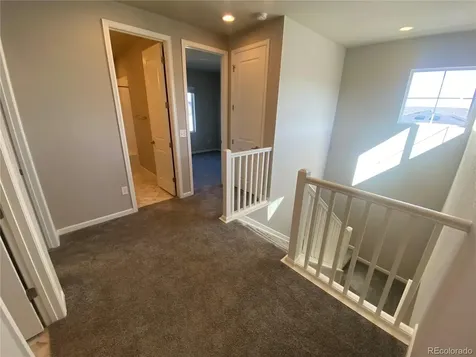 238 Silver Rock Trail Castle Rock CO 80104