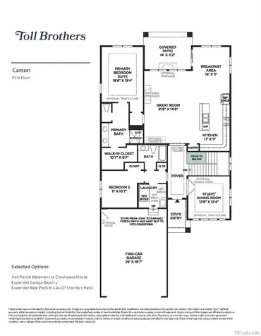 463 Basin Daisy Street Castle Rock CO 80104