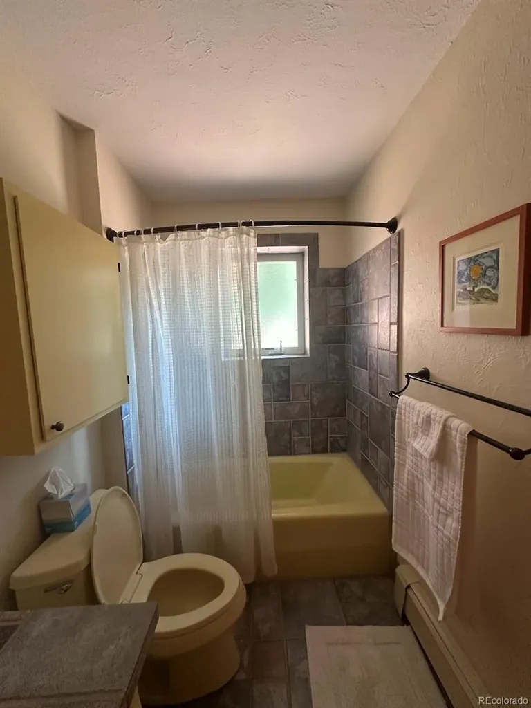 1207 Lincoln Street Alamosa CO 81101