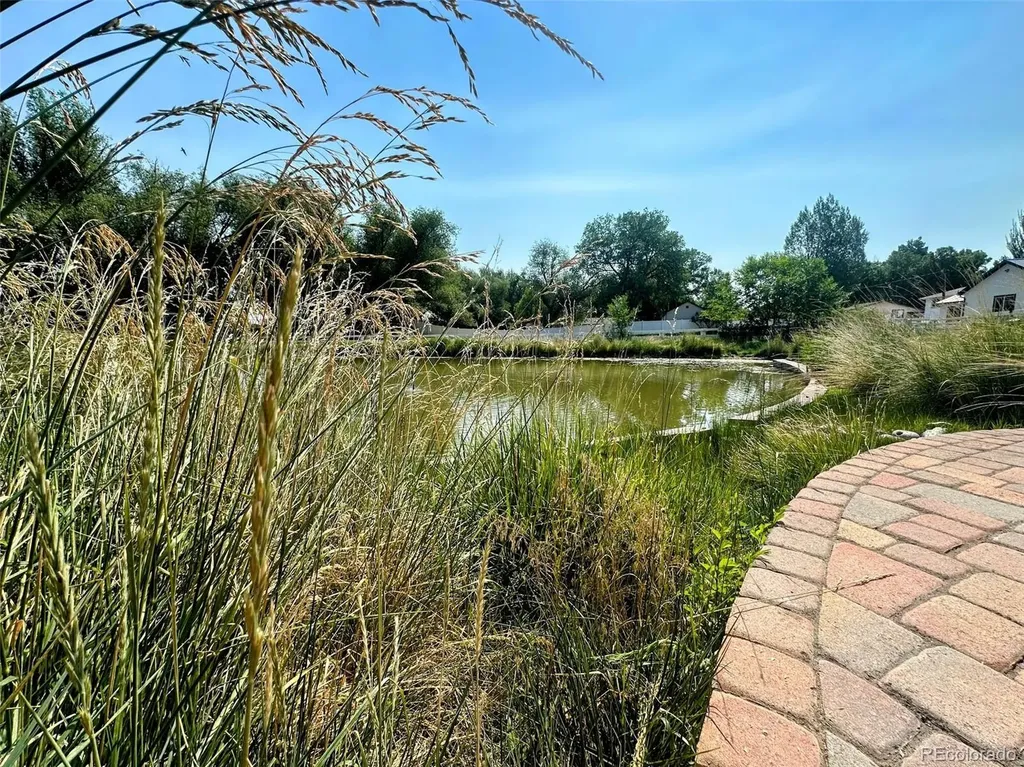 1207 Lincoln Street Alamosa CO 81101