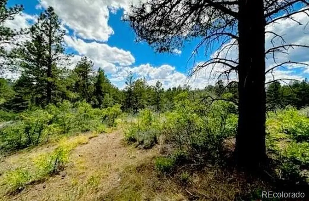 550 Deer Trail Pagosa Springs CO 81147