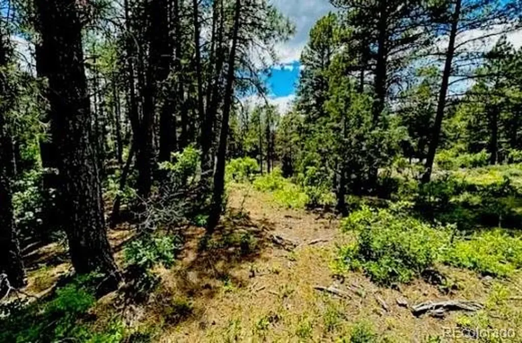 550 Deer Trail Pagosa Springs CO 81147