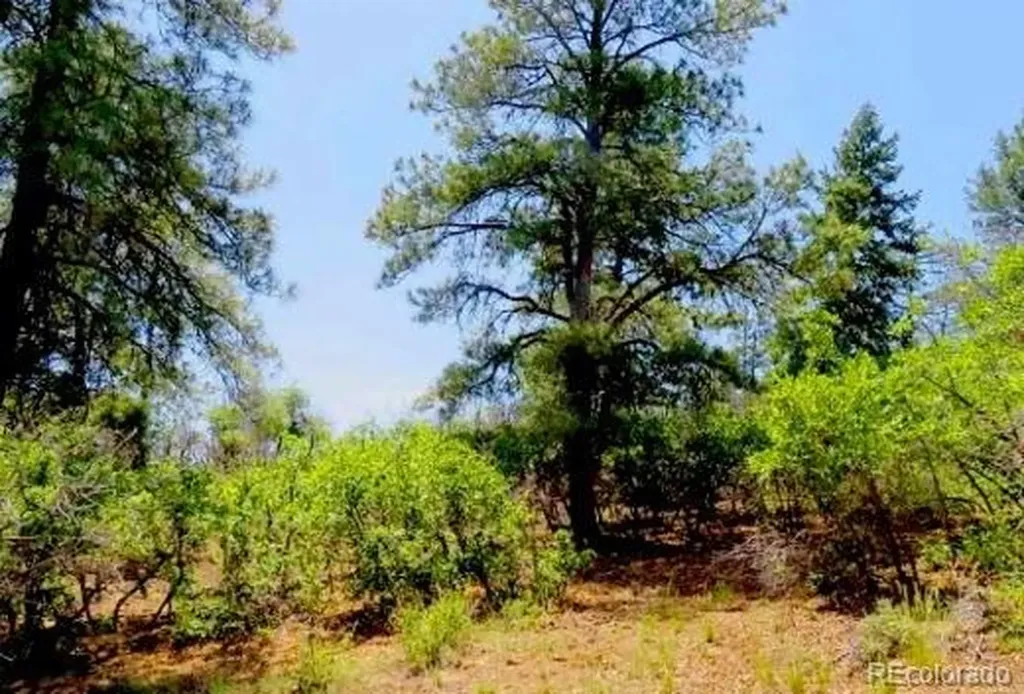 550 Deer Trail Pagosa Springs CO 81147