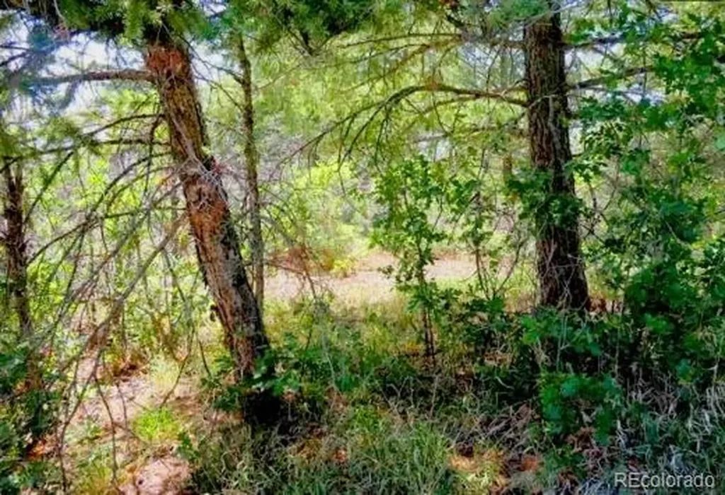 550 Deer Trail Pagosa Springs CO 81147