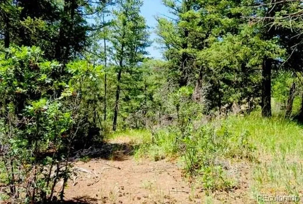 550 Deer Trail Pagosa Springs CO 81147