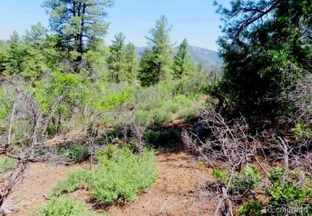 550 Deer Trail Pagosa Springs CO 81147