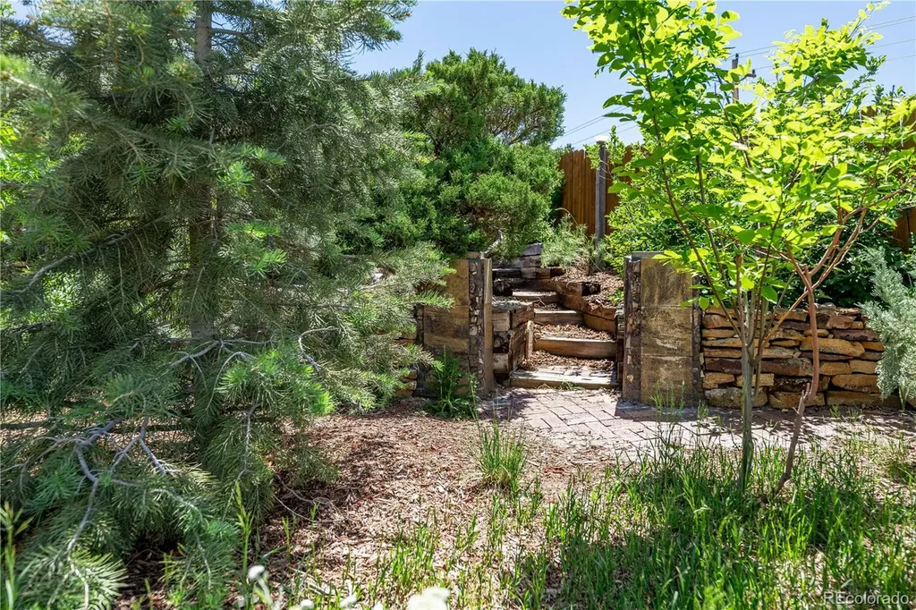 208 Elm Court Castle Rock CO 80104