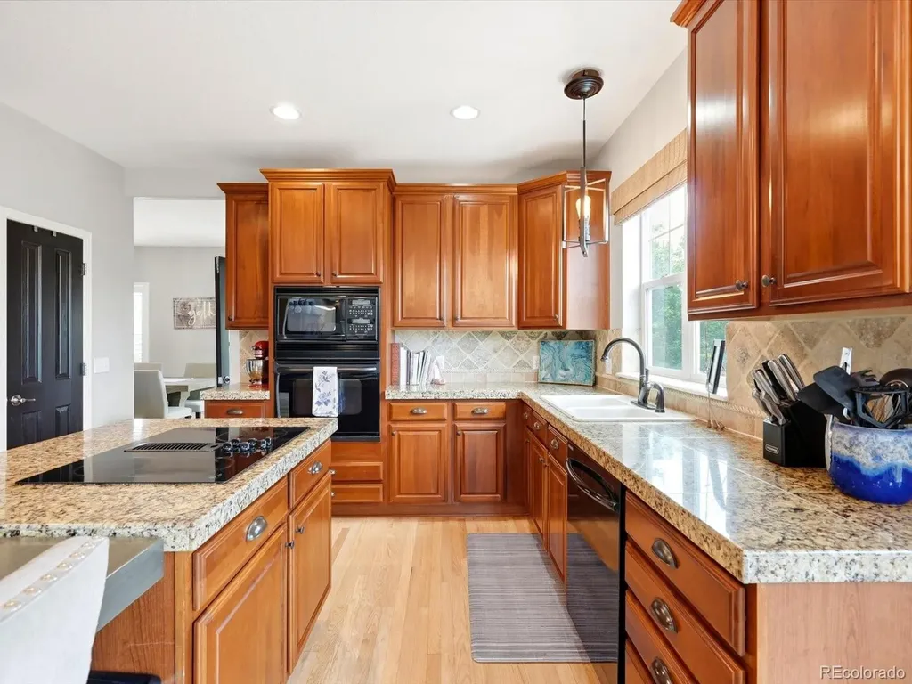 4579 Broadview Court Castle Rock CO 80109