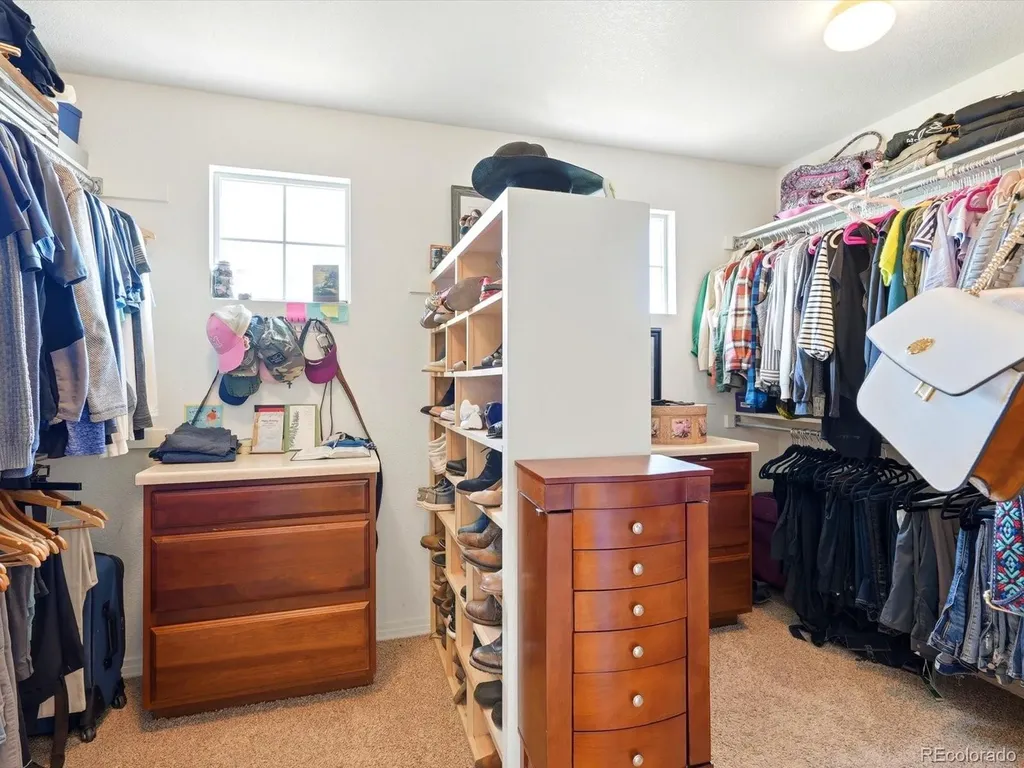 4579 Broadview Court Castle Rock CO 80109