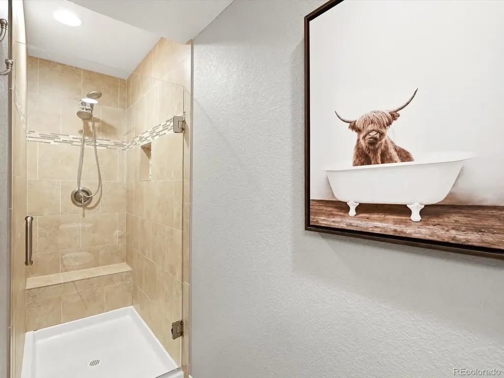 4579 Broadview Court Castle Rock CO 80109