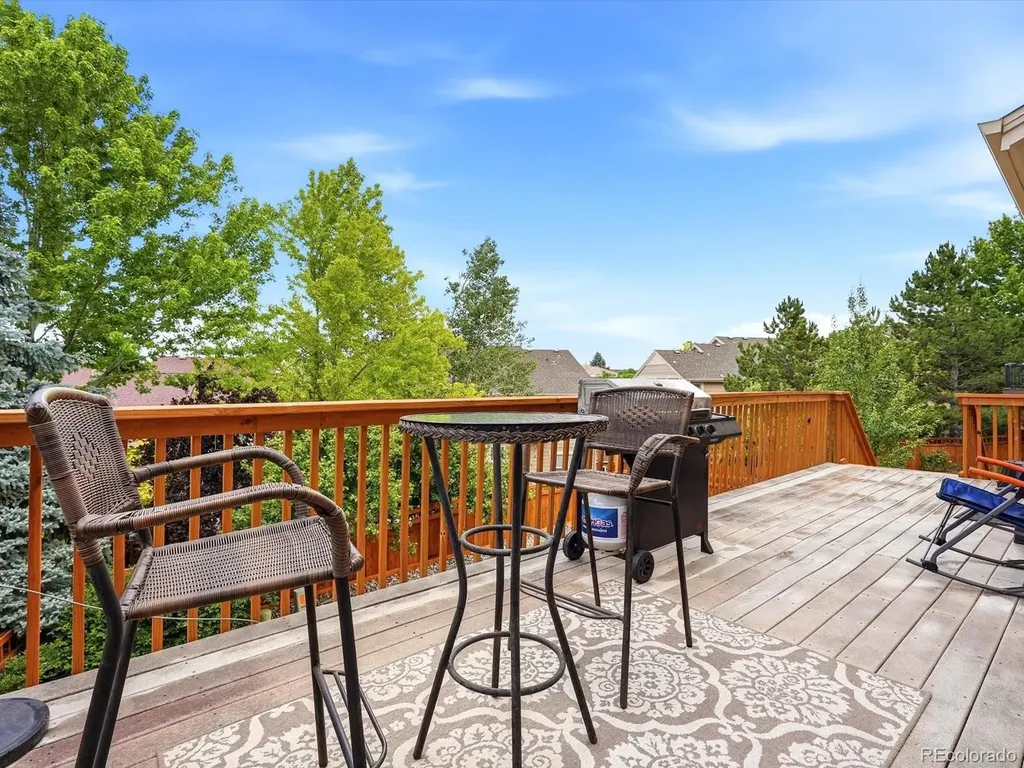4579 Broadview Court Castle Rock CO 80109