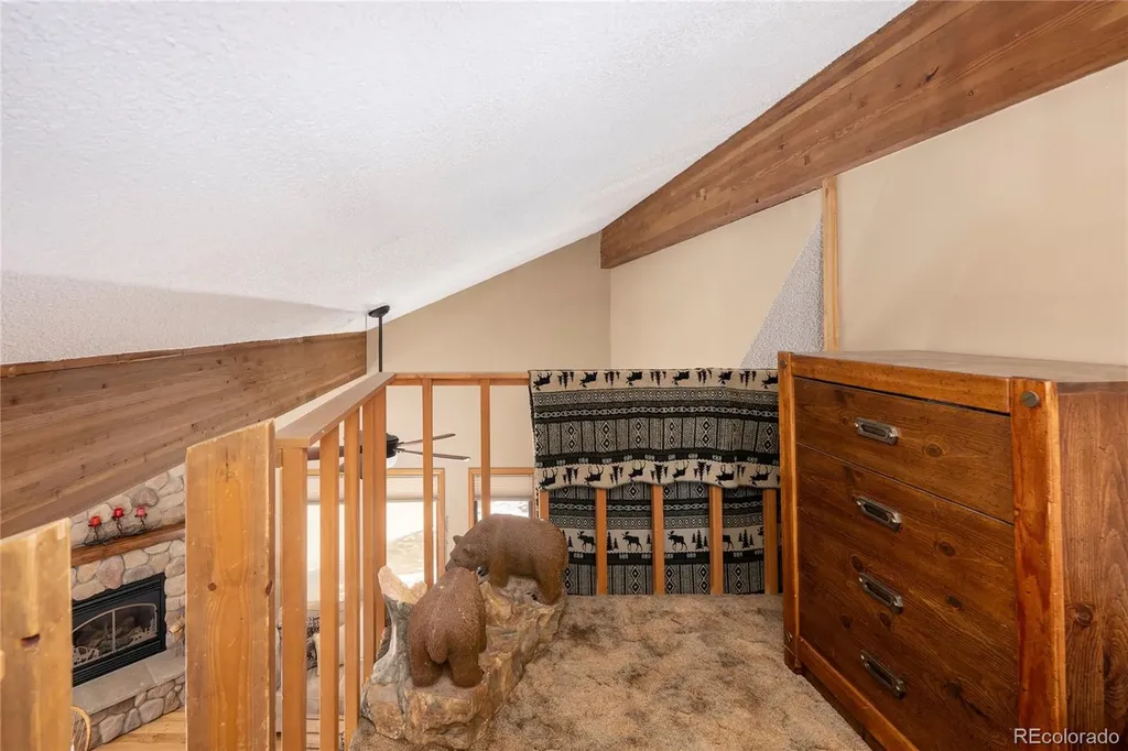 830 Ermine Lane Fraser CO 80442