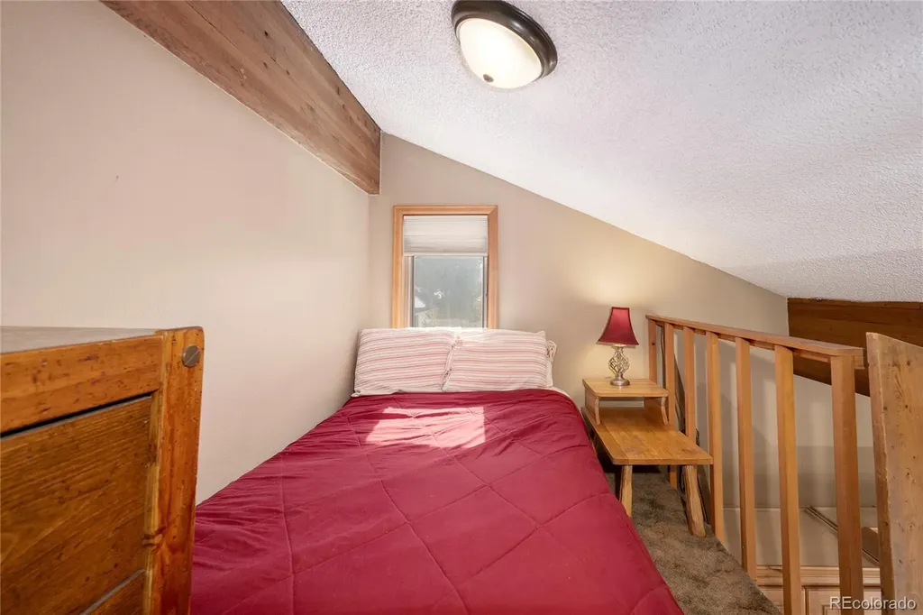 830 Ermine Lane Fraser CO 80442